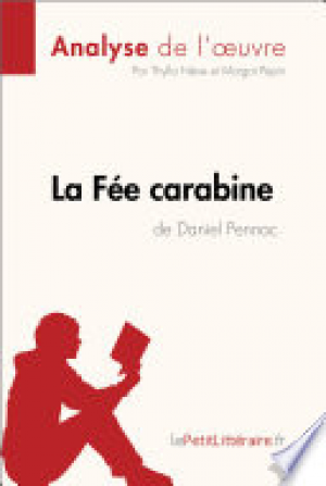 La Fée carabine de Daniel Pennac