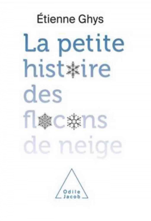 La Petite histoire des flocons de neige