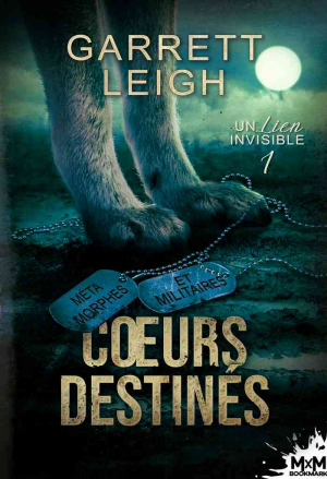 Un lien invisible, Tome 1 : Cœurs destinés