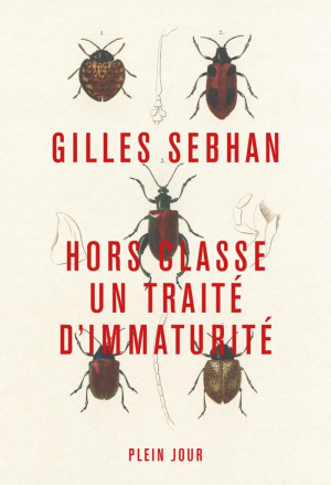 Hors classe : Traité dimmaturité