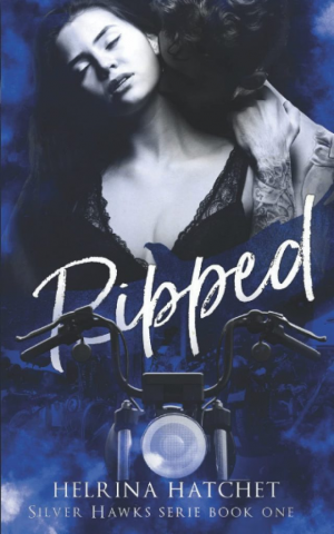 Silver Hawks, Tome 1 : Ripped