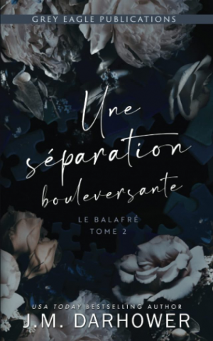 Le Balafré, Tome 2 : Une séparation bouleversante
