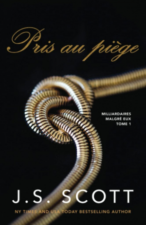 Milliardaires malgré eux, Tome 1 : Pris au piège