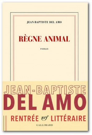 Règne animal