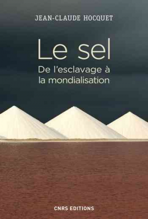 Le sel : de l’esclavage à la mondialisation
