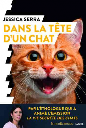 Dans la tête d’un chat