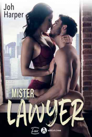 Mister Lawyer