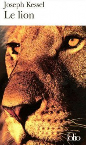 Le lion