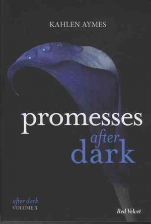 After Dark, Tome 3 : Promesses After Dark