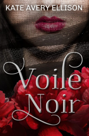 Red Rider, Tome 3 : Voile noir