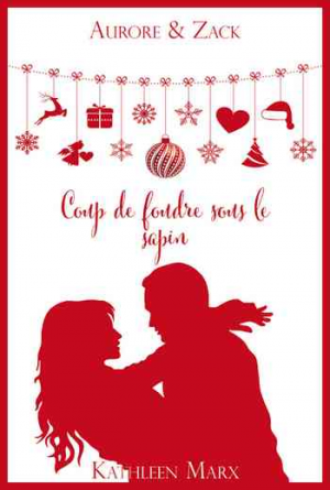 Aurore et Zack, Tome 1 : Coup de foudre sous le sapin