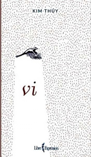 Vi