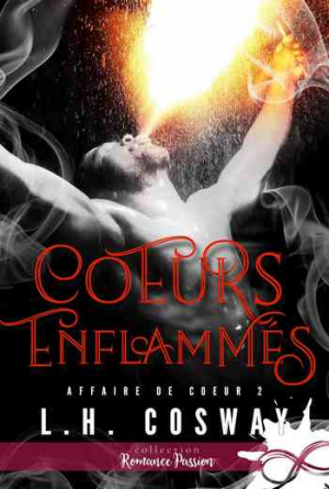 Affaire de cœur, Tome 2 : Coeurs enflammés