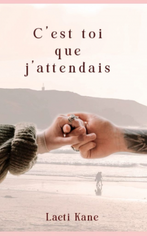 C’est toi que j’attendais
