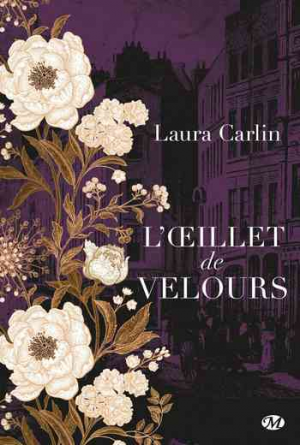 L’oeillet de velours