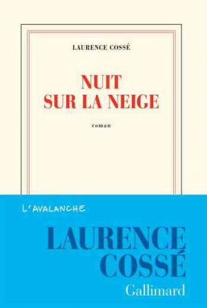 Nuit sur la neige