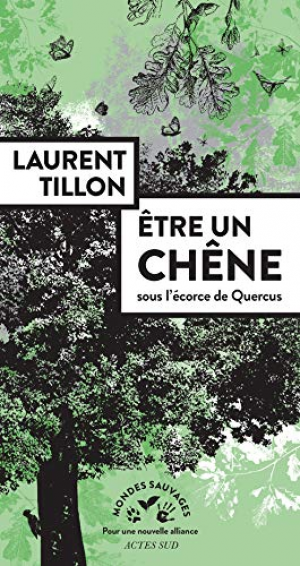 Être un chêne : Sous l’écorce de Quercus