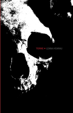 Terne