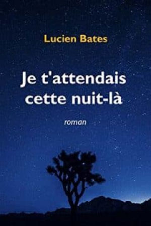 Je t’attendais cette nuit-là