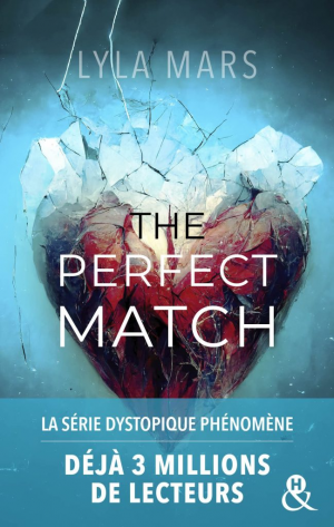 I’m Not Your Soulmate, Tome 1 : The Perfect Match