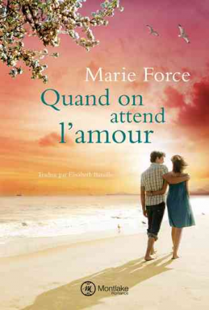 L’île de Gansett – Tome 8: Quand on attend l’amour