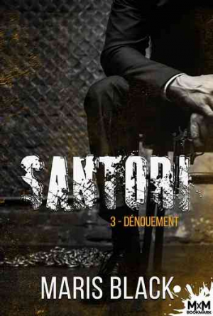 Santori, Tome 3 : Dénouement