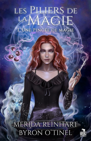 Les Piliers de la magie, Tome 1 : Une pincée de magie