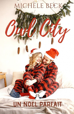 Owl City, Tome 2,5 : Un Noël parfait