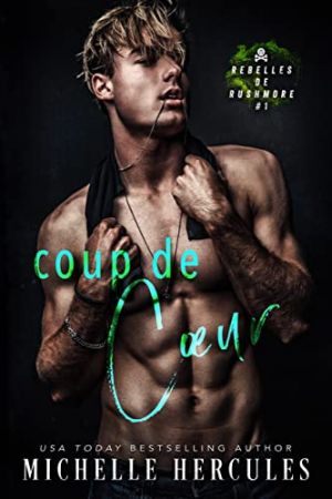 Rebelles de Rushmore, Tome 1 : Coup de coeur