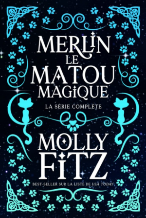 Merlin le matou magique