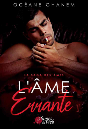 La Saga des âmes, Tome 2 : L’Âme errante