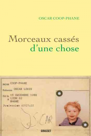 Morceaux cassés d’une chose