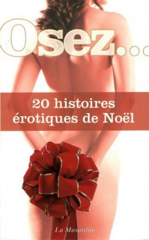 20 histoires érotiques de Noël