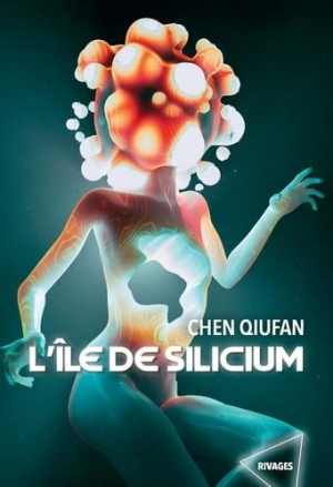 L’île de Silicium