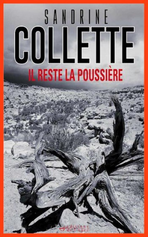 Il reste la poussière