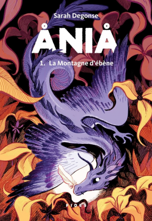 Ania, Tome 1 : La montagne d’ébène