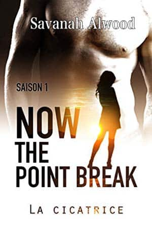 Now, the point break, Saison 1