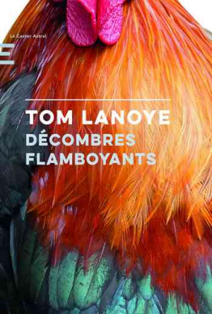 Décombres Flamboyants