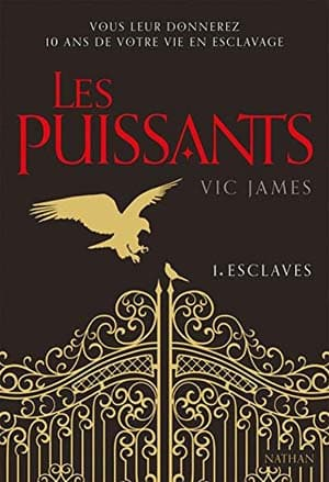 Les Puissants, Tome 1